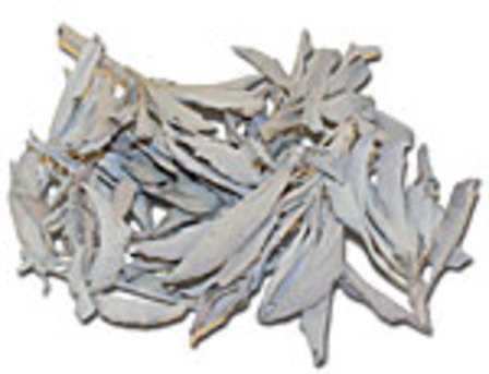 White Sage Loose Leaf and clusters